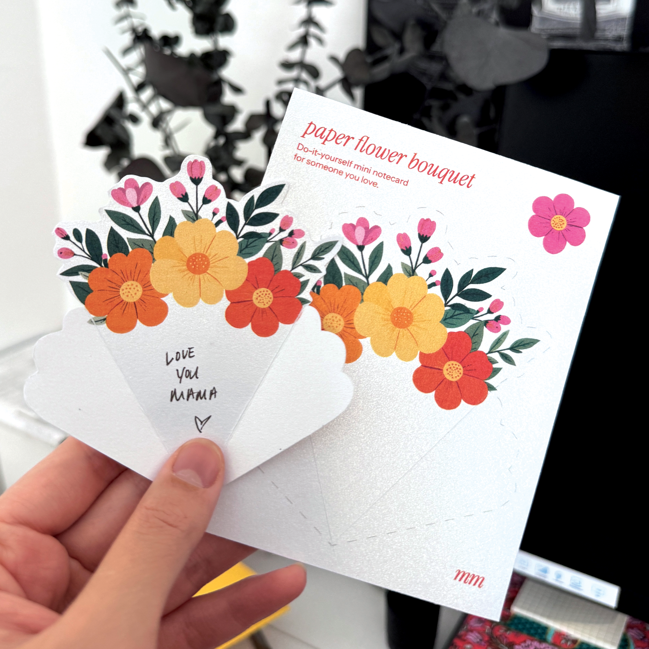 LIMITED EDITION may 2026 mama mail